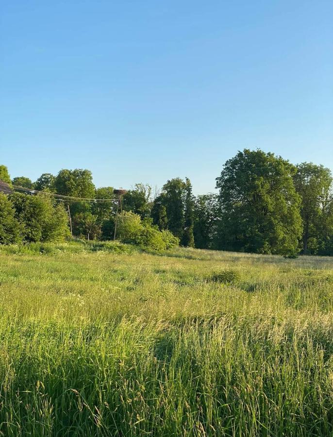 Gospoda Pazibroda Maków Mazowiecki Extérieur photo